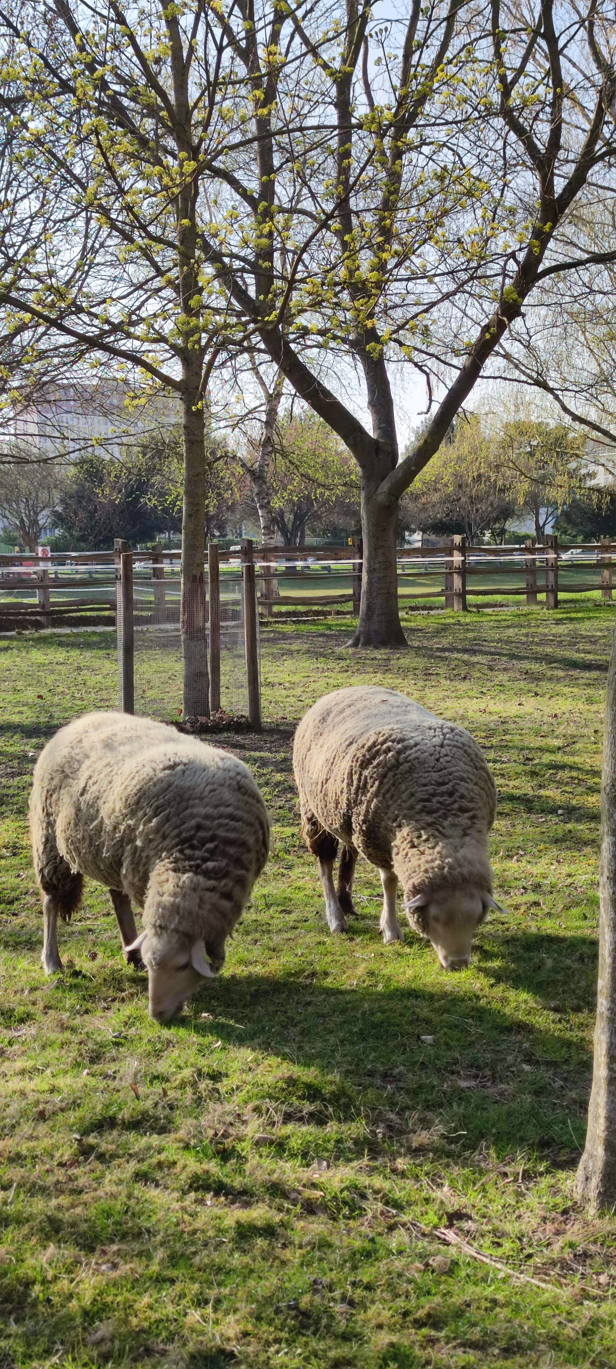 Photo n° 4 de l'avis de Cécile.A fait le 16/04/2022 à 14:40