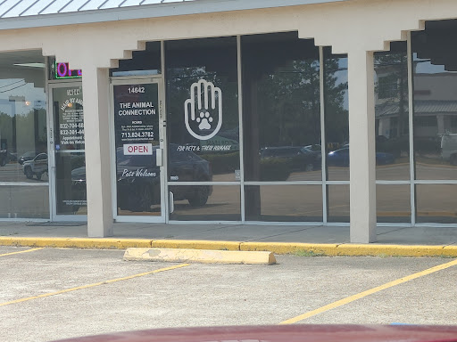 The Animal Connection