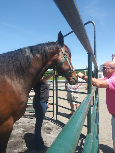 Casino «Tioga Downs Casino», reviews and photos, 2384 W River Rd, Nichols, NY 13812, USA