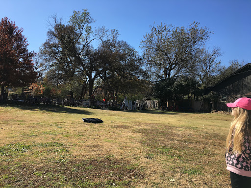Tourist Attraction «The Chairy Orchard», reviews and photos, 1426 Churchill Dr, Denton, TX 76209, USA
