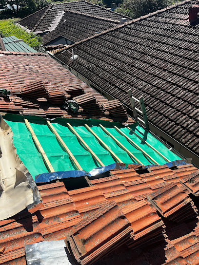 REMARKABLE ROOFS