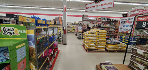 Home Improvement Store «Tractor Supply Co.», reviews and photos, 100 W Ardice Ave #1, Eustis, FL 32726, USA