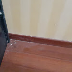 Photo n°5 de l'avis de Chiara.a fait le 10/07/2023 à 15:15 sur le  Hotel Consul à Riccione