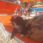 Photo n°5 de l'avis de Stefania.a fait le 12/09/2019 à 18:55 sur le  Vignanotica Beach à Vieste