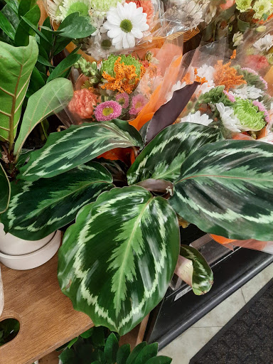 Grocery Store «ACME Markets», reviews and photos, 2160 Lemoine Ave, Fort Lee, NJ 07024, USA