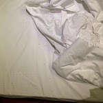 Photo n°1 de l'avis de André.a fait le 30/05/2022 à 13:16 sur le  Hotel Rinascimento à Rome