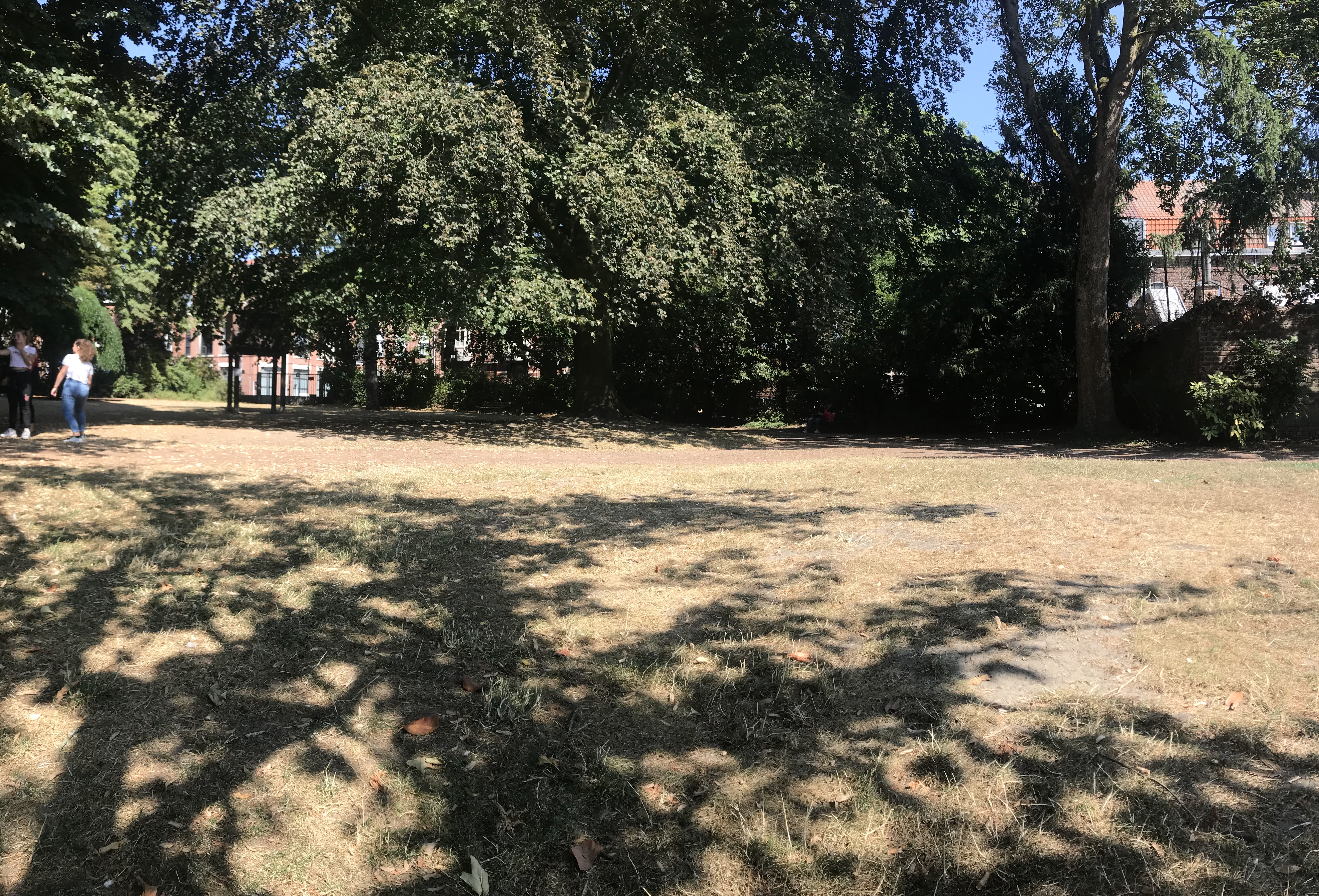 Photo n° 2 de l'avis de François.o fait le 22/05/2019 à 08:01
