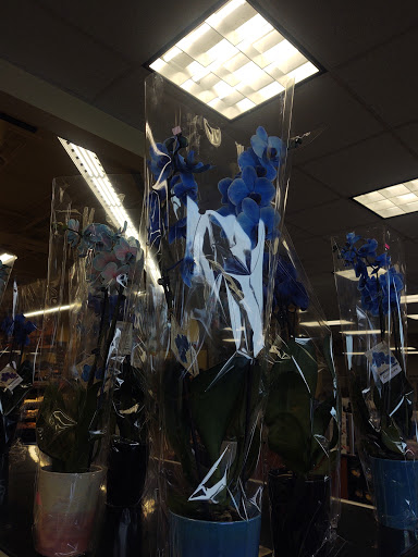 Grocery Store «Super 1 Foods», reviews and photos, 1822 E Custer Ave, Helena, MT 59601, USA