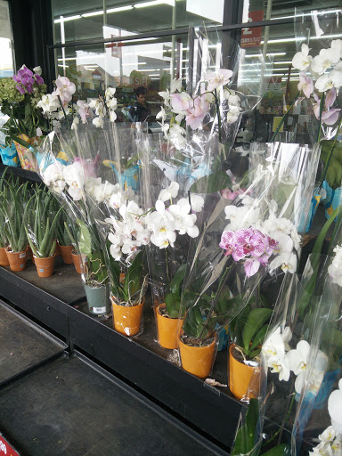 Grocery Store «Grocery Outlet Bargain Market», reviews and photos, 4157 NW U.S. 101 #101, Lincoln City, OR 97367, USA