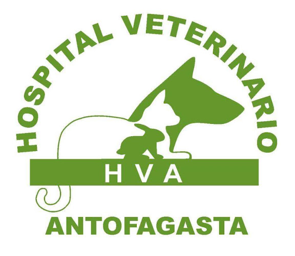 Comentarios y opiniones de Hospital Veterinario Antofagasta