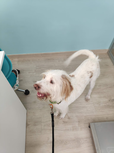 Centro Veterinario Albalat en Albalat dels Sorells