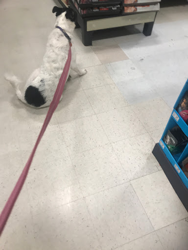 Pet Supply Store «PetSmart», reviews and photos, 11331 Causeway Blvd, Brandon, FL 33511, USA