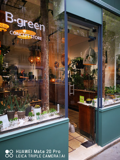 B.GREEN concept store & Terrariums