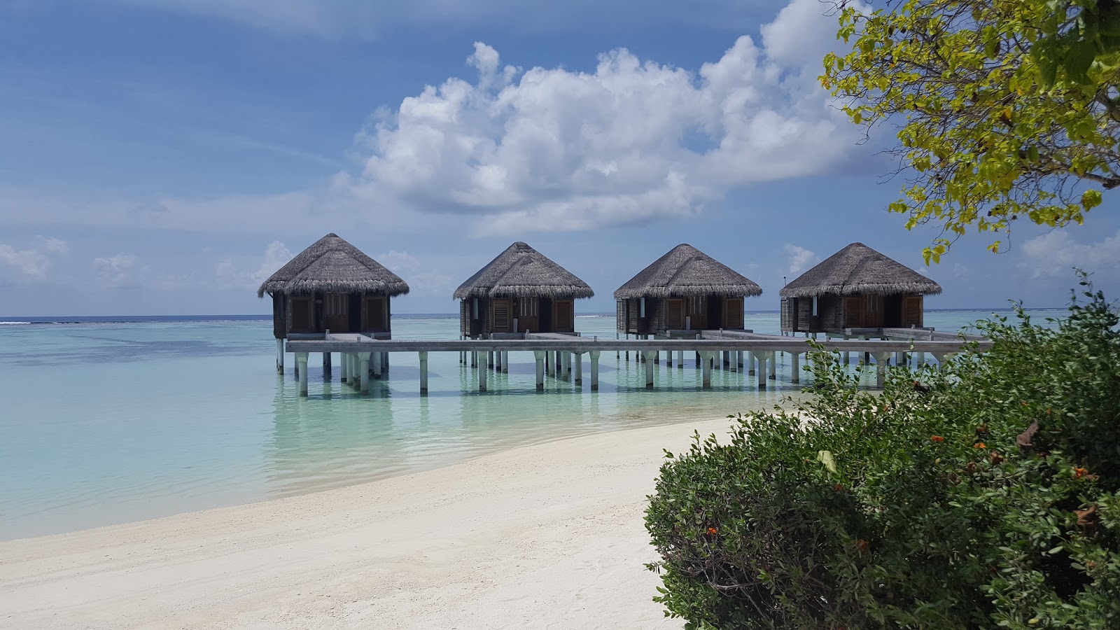 Fotografija LUX South Ari Atoll in naselje