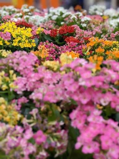 Home Improvement Store «The Home Depot», reviews and photos, 2920 Audrey Ave, Naperville, IL 60540, USA