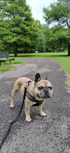 Park «Robsion Park», reviews and photos, Robsion Park Dr, Lyndon, KY 40222, USA