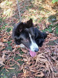 Mud Bay - Photo 8 - Car repair in Bellingham, WA, Bellingham