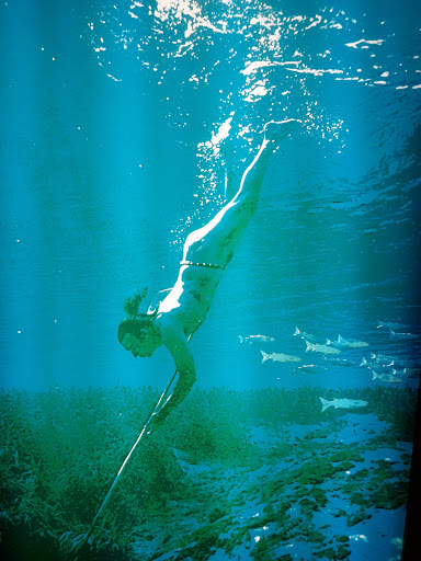 Natural History Museum «Florida Museum of Natural History», reviews and photos, 3215 Hull Rd, Gainesville, FL 32611, USA