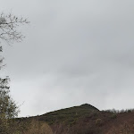 Photo n°1 de l'avis de Riccardo.a fait le 16/01/2021 à 17:05 sur le  The Small Bar Of Corsi Ilaria à Pietrasanta