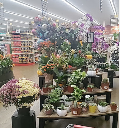 Stater Bros. Markets image