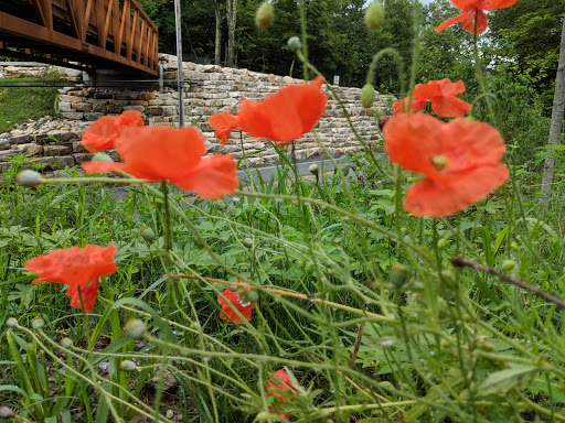 Nature Preserve «Mohonk Preserve», reviews and photos, 3197 US-44, Gardiner, NY 12525, USA