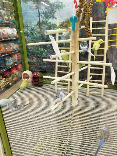 Pet Supply Store «Petco Animal Supplies», reviews and photos, 197 E Dekalb Pike #350, King of Prussia, PA 19406, USA
