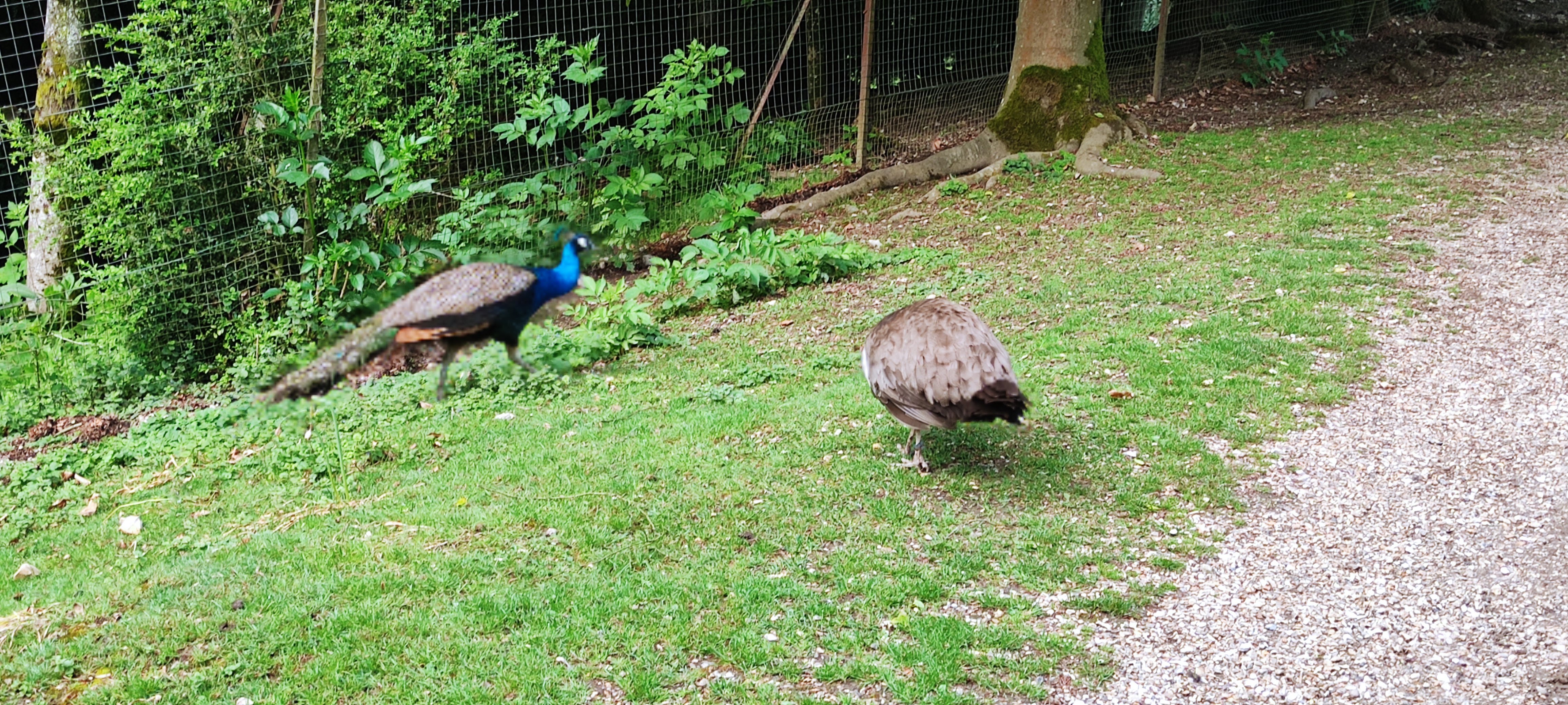 Photo n° 5 de l'avis de Christophe.h fait le 22/05/2022 à 06:02