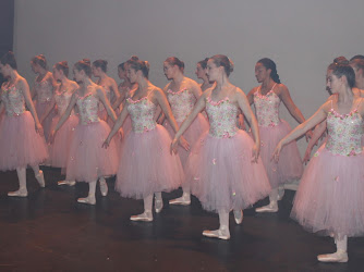 Bray School of Dance