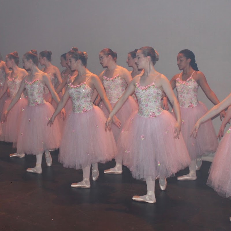 Bray School of Dance