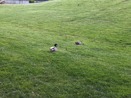 Park «Heritage Park», reviews and photos, 111 Waverly Way, Kirkland, WA 98033, USA