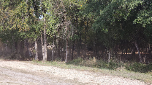 Museum «Texas Military Forces Museum», reviews and photos, 2200 W 35th St, Austin, TX 78703, USA