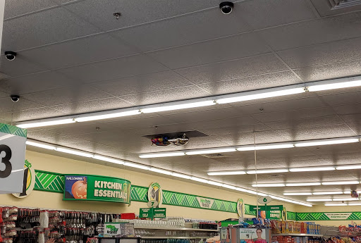 Dollar Store «Dollar Tree», reviews and photos, 4048 Atlanta Hwy, Loganville, GA 30052, USA