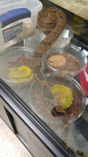 Pet Supply Store «Pet Den», reviews and photos, 1209 Nederland Ave, Nederland, TX 77627, USA