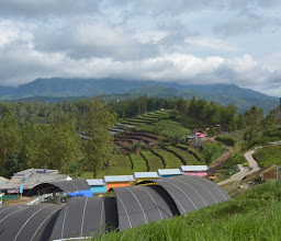 Wisata Strawberry photo