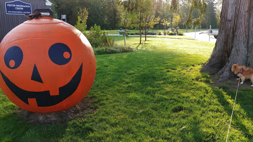 Park «Lundeen Park», reviews and photos, 10020 Lundeen Park Way, Lake Stevens, WA 98258, USA