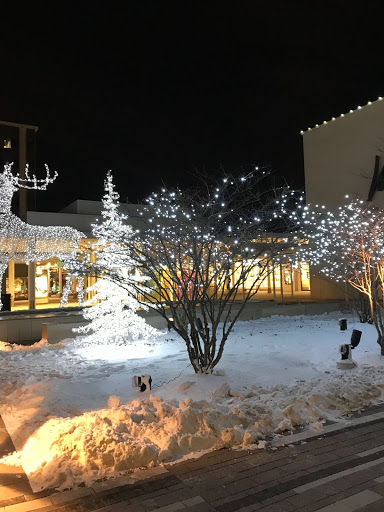 Clothing Store «Express», reviews and photos, 294 Oakbrook Center, Oak Brook, IL 60523, USA