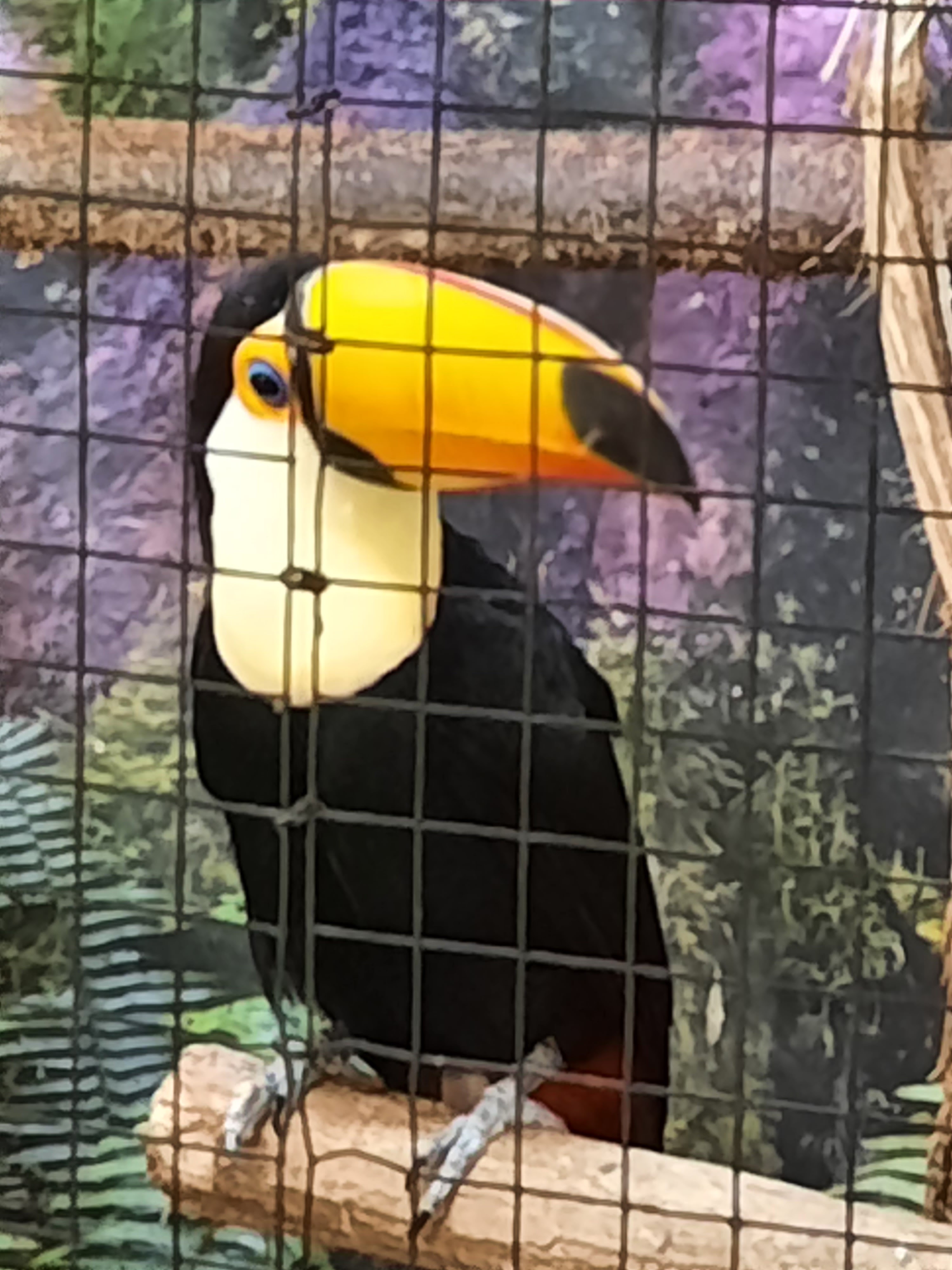 Photo n° 1 de l'avis de Gwen.i fait le 08/08/2023 à 13:19