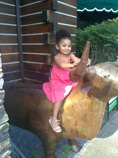 Public Golf Course «Pine Creek Golf Course», reviews and photos, 1835 Logue Road, Mt Juliet, TN 37122, USA