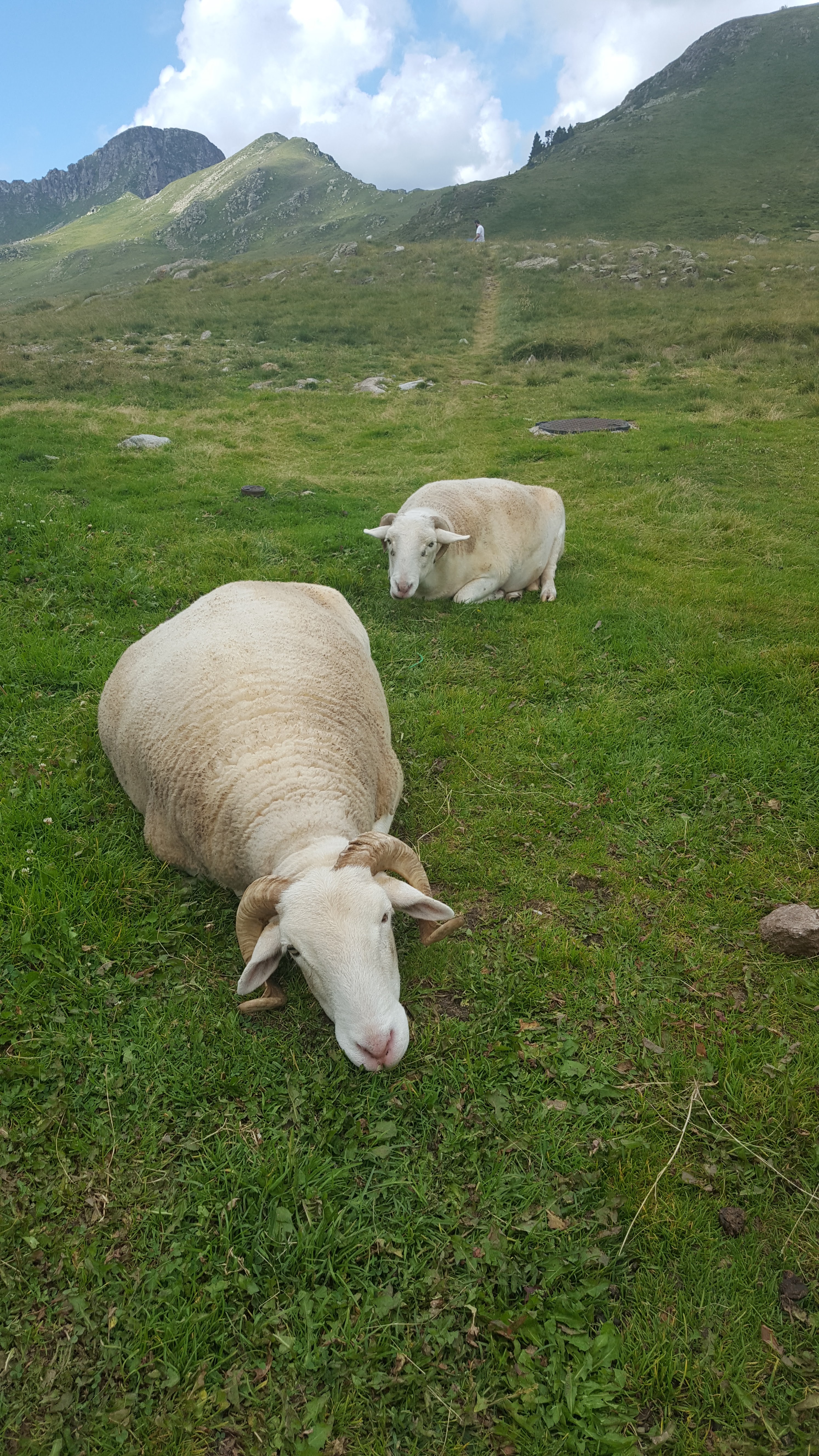 Photo n° 1 de l'avis de Eric.r fait le 22/08/2018 à 13:42