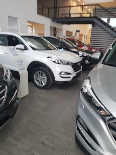 Opinii despre RMB - Casa Auto Timisoara - Hyundai în <nil> - Dealer Auto