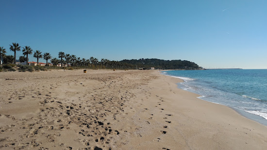 Platja Llarga