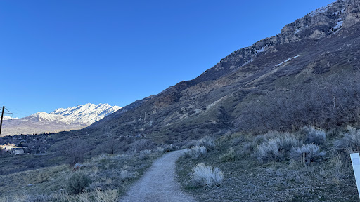 Bonneville Shoreline Y Parking Lot Trailhead
