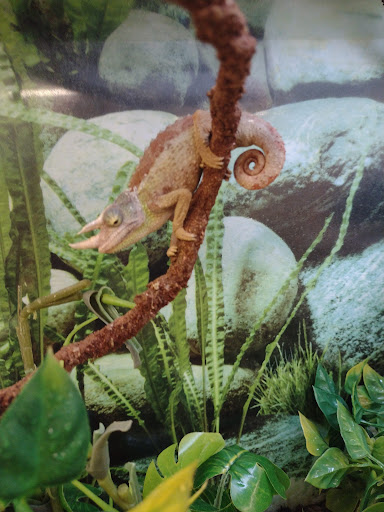 Pet Supply Store «Petco Animal Supplies», reviews and photos, 801 W Lake Ave, Peoria, IL 61614, USA