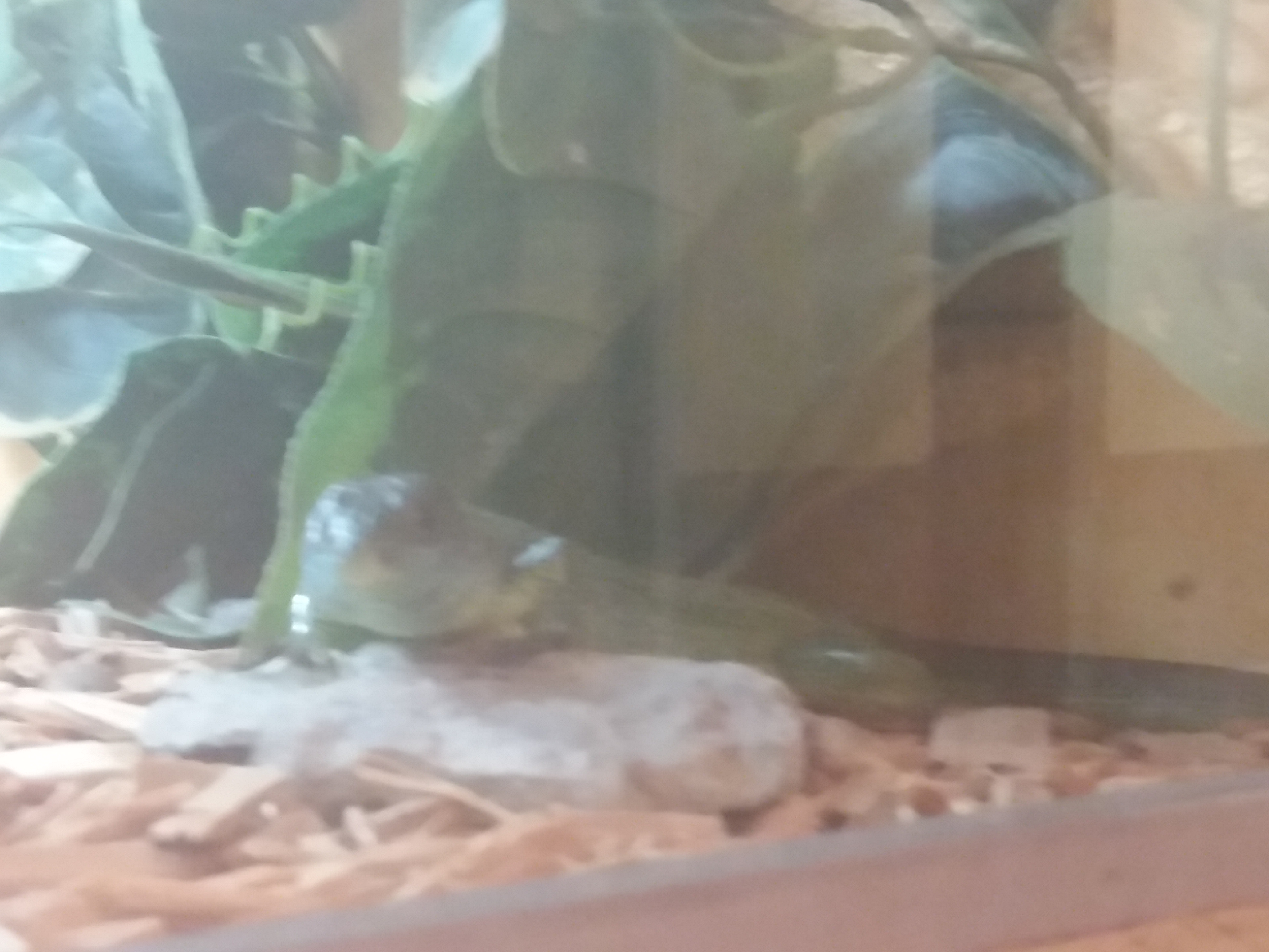 Photo n° 33 de l'avis de Damien.i fait le 21/08/2017 à 19:35