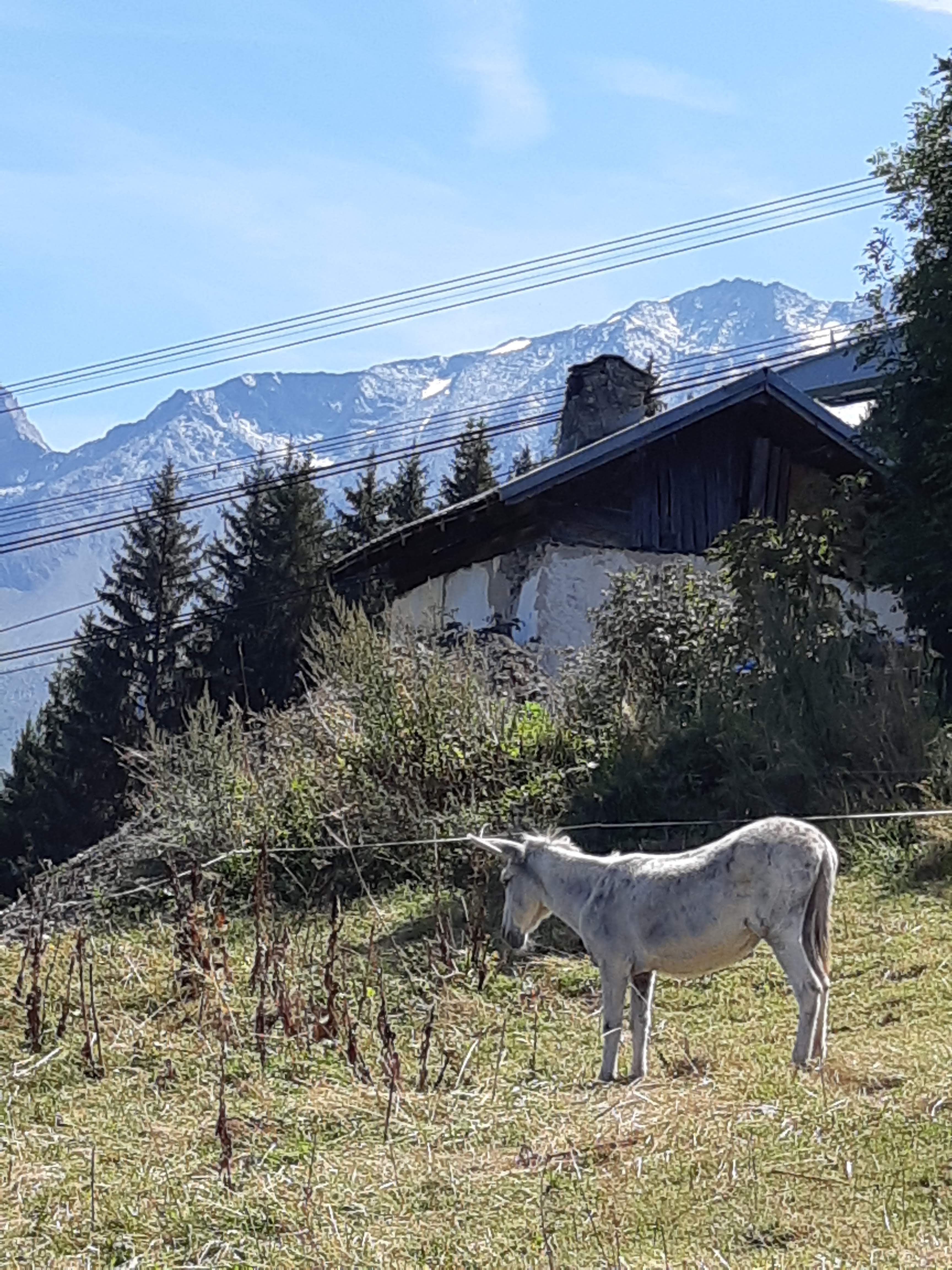Photo n° 10 de l'avis de Michelle.a fait le 20/09/2018 à 21:44