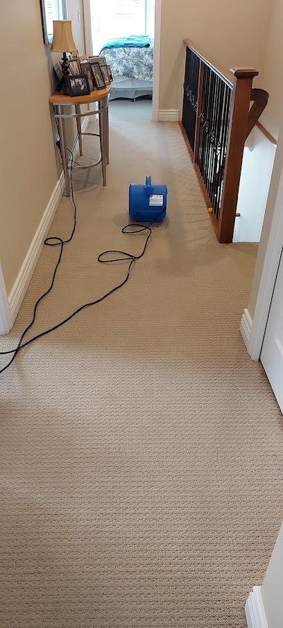 VZoom Carpet Cleaning & Floor Care