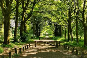Lever Park image