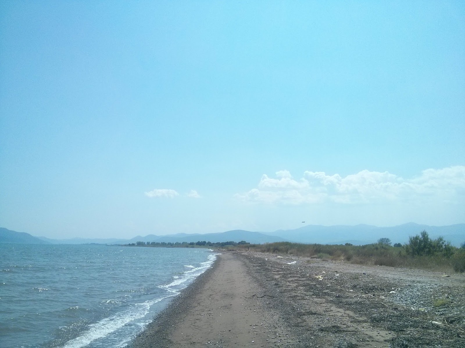 Dimitriada beach的照片 带有绿水表面