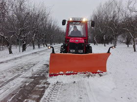 Fűkaszálás Csongrád megye , Fűnyírás , Parkrendezés Csongrád megye Társasház takarítás Csongrád megye - Sagitta 3000 Bt .