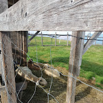 Photo n°6 de l'avis de Letizia.e fait le 11/09/2020 à 13:17 sur le  Rifugio Paion à Cavalese